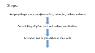 Bronchial asthma pathophysiology & classification of drugs | PPTX
