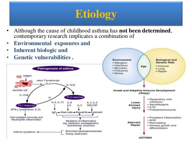 Age Features Of Bronchial Asthma In Children Dissertation – egygeqiwa age features of bronchial asthma in children dissertation