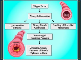Bronchial Asthma it's Pathophysiology, Sign and symptoms, Diagnosis and ...