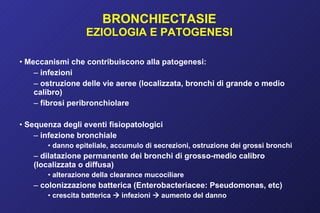 BRONCHIECTASIE EZIOLOGIA E PATOGENESI Meccanismi che contribuiscono alla patogenesi: infezioni ostruzione delle vie aeree (localizzata, bronchi di grande o medio calibro) fibrosi peribronchiolare Sequenza degli eventi fisiopatologici infezione bronchiale danno epiteliale, accumulo di secrezioni, ostruzione dei grossi bronchi dilatazione permanente dei bronchi di grosso-medio calibro (localizzata o diffusa) alterazione della clearance mucociliare colonizzazione batterica (Enterobacteriacee: Pseudomonas, etc) crescita batterica    infezioni    aumento del danno 