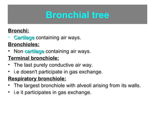Bronchial tree
 