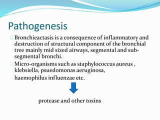 Pathogenesis 
Bronchieactasis is a consequence of inflammatory and 
destruction of structural component of the bronchial 
tree mainly mid sized airways, segmental and sub-segmental 
bronchi. 
Micro-organisms such as staphylococcus aureus , 
klebsiella, psuedomonas aeruginosa, 
haemophilus influenzae etc. 
protease and other toxins 
 