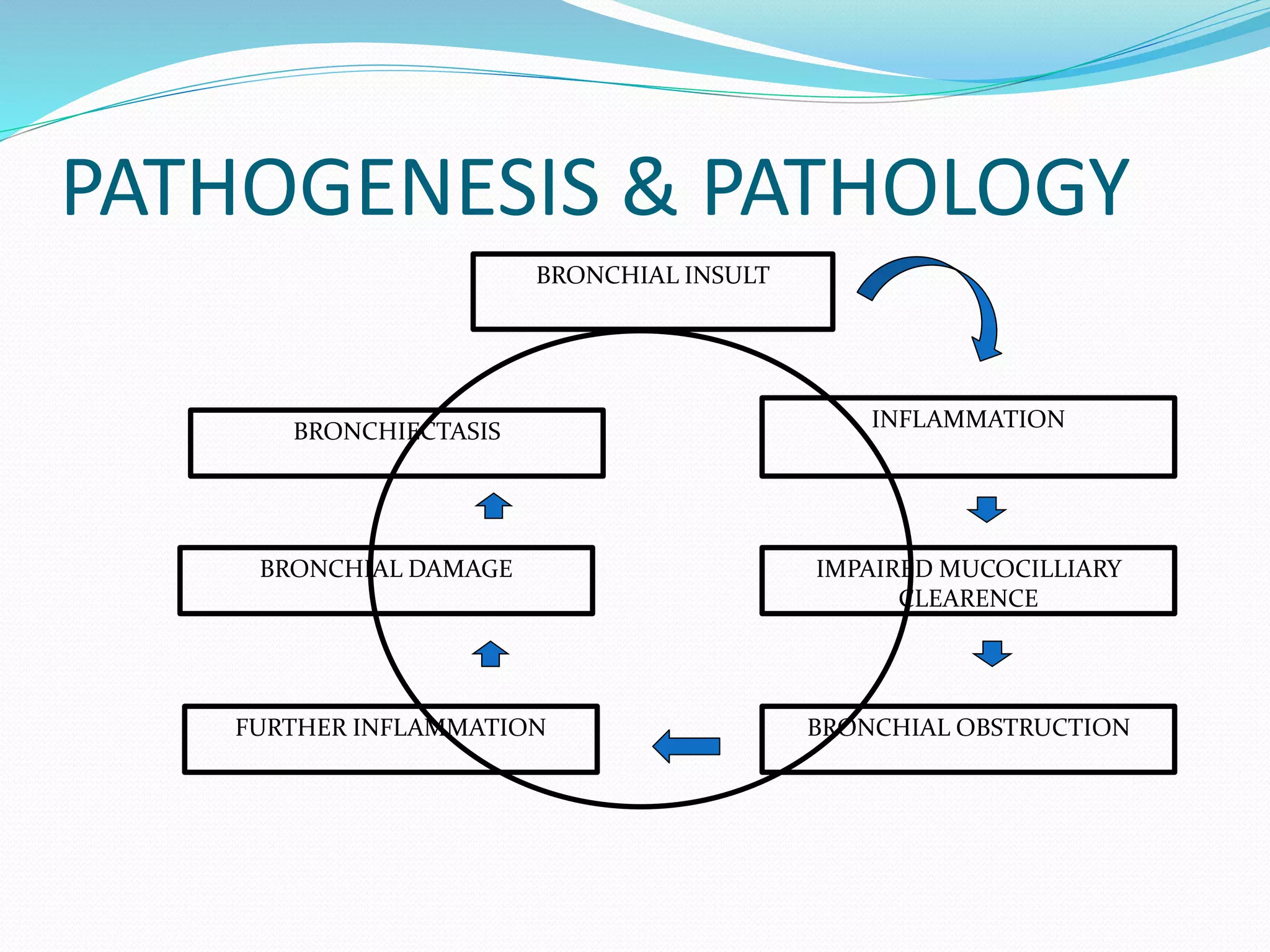 BRONCHIAL INSULT
INFLAMMATION
IMPAIRED MUCOCILLIARY
CLEARENCE
BRONCHIAL OBSTRUCTION
BRONCHIAL DAMAGE
FURTHER INFLAMMATION
BRONCHIECTASIS
PATHOGENESIS & PATHOLOGY
 