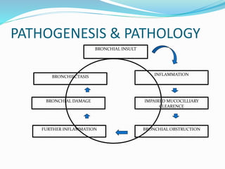 BRONCHIAL INSULT
INFLAMMATION
IMPAIRED MUCOCILLIARY
CLEARENCE
BRONCHIAL OBSTRUCTION
BRONCHIAL DAMAGE
FURTHER INFLAMMATION
BRONCHIECTASIS
PATHOGENESIS & PATHOLOGY
 