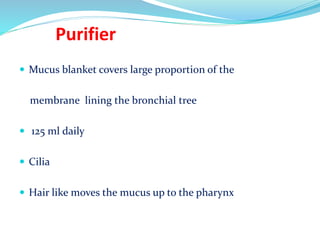 Purifier
 Mucus blanket covers large proportion of the
membrane lining the bronchial tree
 125 ml daily
 Cilia
 Hair like moves the mucus up to the pharynx
 