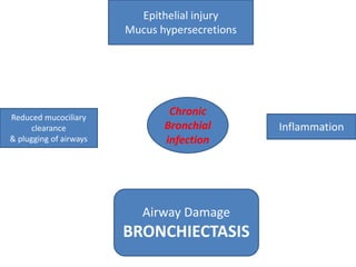 Epithelial injury
Mucus hypersecretions
Reduced mucociliary
clearance
& plugging of airways
Inflammation
Chronic
Bronchial
infection
Airway Damage
BRONCHIECTASIS
 