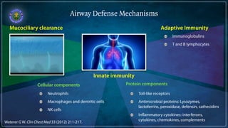 Airway Defense Mechanisms 
Mucociliary clearance 
Innate immunity 
Neutrophils 
Macrophages and dentritic cells 
NK cells 
Adaptive Immunity 
Cellular components Protein components 
Immunoglobulins 
T and B lymphocytes 
Toll-like receptors 
Antimicrobial proteins: Lysozymes, 
lactoferrins, peroxidase, defensin, cathecidins 
Inflammatory cytokines: interferons, 
cytokines, chemokines, complements 
Waterer G W. Clin Chest Med 33 (2012) 211-217. 
 