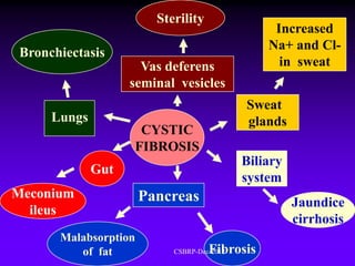 Sterility
                                                 Increased
                                                Na+ and Cl-
Bronchiectasis
                     Vas deferens                 in sweat
                   seminal vesicles
                                            Sweat
     Lungs                                  glands
                    CYSTIC
                   FIBROSIS
                                            Biliary
             Gut
                                            system
Meconium              Pancreas                        Jaundice
  ileus
                                                      cirrhosis
      Malabsorption
         of fat                     Fibrosis
                           CSBRP-Dec-2012
 