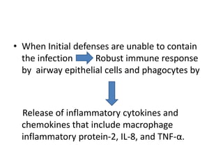 • When Initial defenses are unable to contain
the infection Robust immune response
by airway epithelial cells and phagocytes by
Release of inflammatory cytokines and
chemokines that include macrophage
inflammatory protein-2, IL-8, and TNF-α.
 