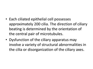 • Each ciliated epithelial cell possesses
approximately 200 cilia. The direction of ciliary
beating is determined by the orientation of
the central pair of microtubules.
• Dysfunction of the ciliary apparatus may
involve a variety of structural abnormalities in
the cilia or disorganization of the ciliary axes.
 