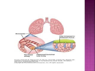 Bronchitis | PPTX