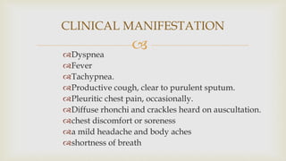 Dyspnea
Fever
Tachypnea.
Productive cough, clear to purulent sputum.
Pleuritic chest pain, occasionally.
Diffuse rhonchi and crackles heard on auscultation.
chest discomfort or soreness
a mild headache and body aches
shortness of breath
CLINICAL MANIFESTATION
 