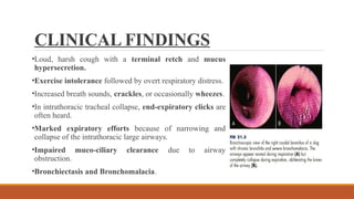 Terminal Retch Dog Comprehensive Overview of Bronchitis in Canines and Felines: Diagnosis ...
