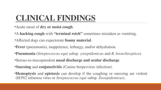 Terminal Retch Dog Comprehensive Overview of Bronchitis in Canines and Felines: Diagnosis ...