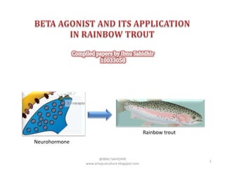 Rainbow trout
Neurohormone

                      @IBNU SAHIDHIR
                                                                 1
               www.artaquaculture.blogspot.com
 