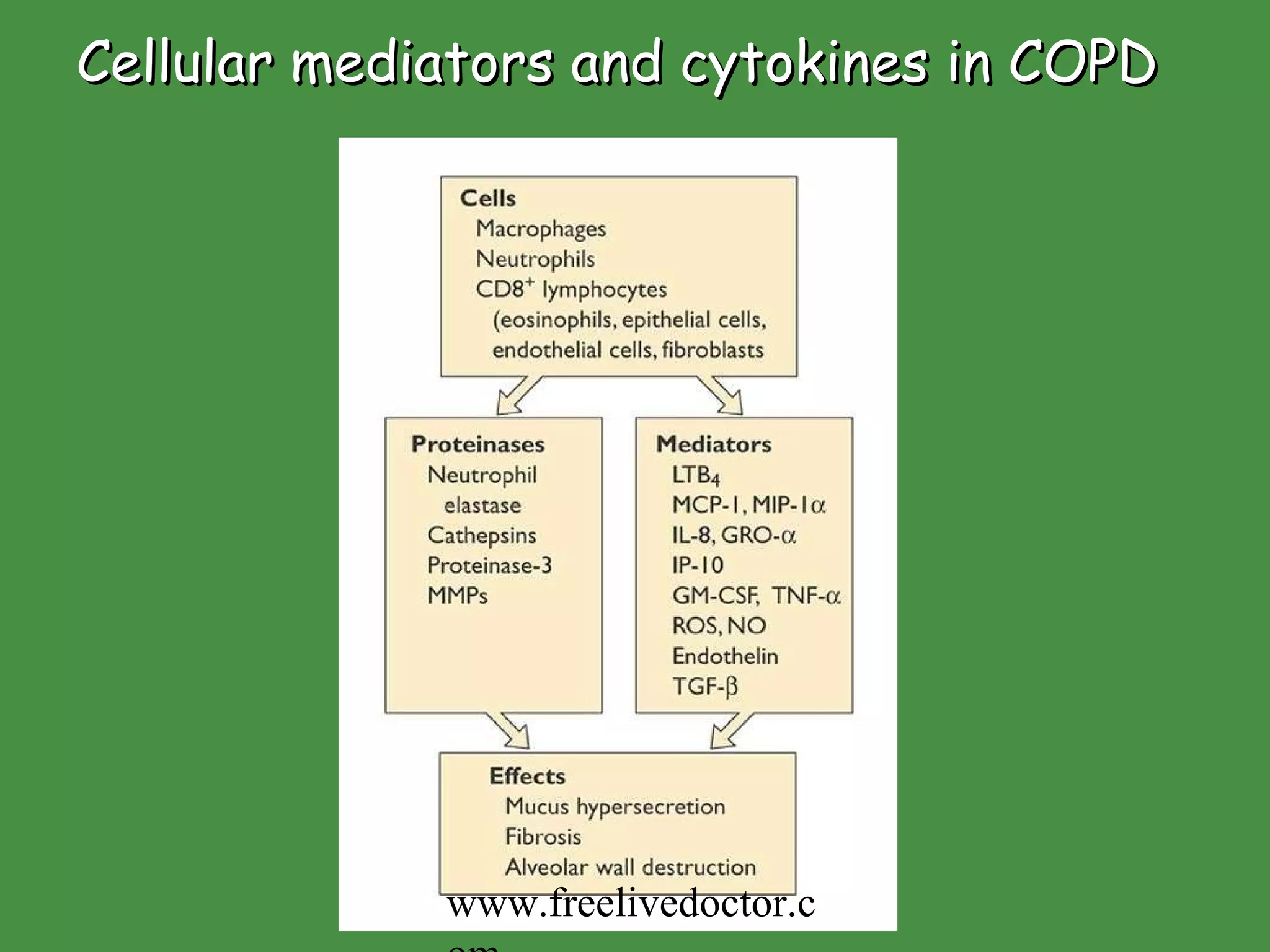Cellular mediators and cytokines in COPD www.freelivedoctor.com 