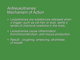 Antileukotrienes:  Mechanism of Action Leukotrienes are substances released when a trigger, such as cat hair or dust, starts a series of chemical reactions in the body. Leukotrienes cause inflammation, bronchoconstriction, and mucus production. Result:  coughing, wheezing, shortness of breath 