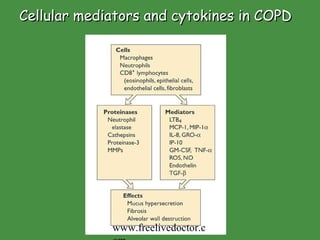 Cellular mediators and cytokines in COPD www.freelivedoctor.com 
