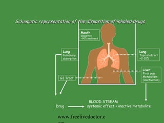 Schematic representation of the disposition of inhaled drugs Lung Topical effect ~2-10% Liver First pass Metabolism (inactivation) GI Tract Mouth Deposition ~90% swallowed Lung Pulmonary  absorption BLOOD STREAM Drug  systemic effect + inactive metabolite www.freelivedoctor.com 