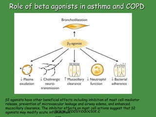 Role of beta agonists in asthma and COPD  2 agonists have other beneficial effects including inhibition of mast cell-mediator release, prevention of microvascular leakage and airway edema, and enhanced mucocillary clearance. The inhibitor effects on mast cell actions suggest that   2 agonists may modify acute inflammation. www.freelivedoctor.com 
