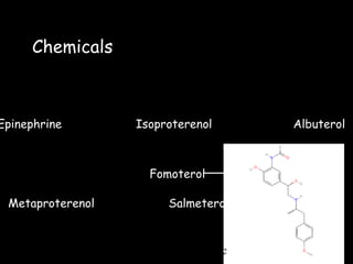Chemicals   Epinephrine  Isoproterenol  Albuterol  Metaproterenol  Salmeterol Fomoterol www.freelivedoctor.com 
