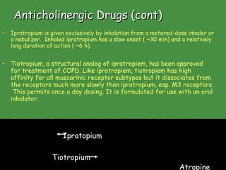 Anticholinergic Drugs (cont) Ipratropium is given exclusively by inhalation from a metered-dose inhaler or a nebulizer.  Inhaled ipratropium has a slow onset ( ~30 min) and a relatively long duration of action ( ~6 h). Tiotropium, a structural analog of ipratropiem, has been approved for treatment of COPD. Like iprotropiem, tiotropiem has high affinity for all muscarinic receptor subtypes but it dissociates from the receptors much more slowly than ipratropium, esp. M3 receptors.  This permits once a day dosing. It is formulated for use with an oral inhalator.   Clinical trials of anticholinergic therapy have generally failed to show significant benefit in asthma.  This relative lack of efficacy in asthma contrasts with COPD, in which anticholinergic agents are among the most effective therapies. Ipratopium Tiotropium Atropine www.freelivedoctor.com 