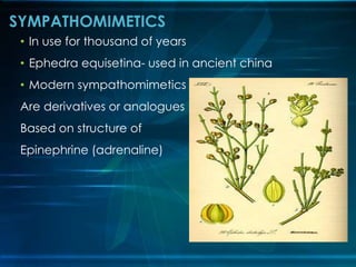 • In use for thousand of years
• Ephedra equisetina- used in ancient china
• Modern sympathomimetics
Are derivatives or analogues
Based on structure of
Epinephrine (adrenaline)
SYMPATHOMIMETICS
 