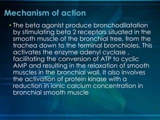 • The beta agonist produce bronchodilatation
by stimulating beta 2 receptors situated in the
smooth muscle of the bronchial tree, from the
trachea down to the terminal bronchioles. This
activates the enzyme adenyl cyclase ,
facilitating the conversion of ATP to cyclic
AMP and resulting in the relaxation of smooth
muscles in the bronchial wall. It also involves
the activation of protein kinase with a
reduction in ionic calcium concentration in
bronchial smooth muscle
Mechanism of action
 