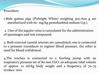 Procedure:

1.Male guinea pigs (Pirbright White) weighing 300–600 g are
   anesthetized with 60 mg/kg pentobarbital sodium (i.p.).

2. One of the jugular veins is cannulated for the administration
of spasmogen and test compound.

3. Both external carotid arteries are cannulated; one is connected
to a pressure transducer to register blood pressure, the other is
used for blood withdrawal.

4.The trachea is connected to a Starling pump with an
inspiratory pressure set of 80 mm H2O, an adequate tidal volume
of approx. 10 ml/kg body weight and a frequency of 70–75
strokes/ min.
 