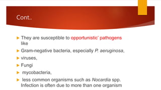 Cont..
 They are susceptible to opportunistic’ pathogens
like
 Gram-negative bacteria, especially P. aeruginosa,
 viruses,
 Fungi
 mycobacteria,
 less common organisms such as Nocardia spp.
Infection is often due to more than one organism
 