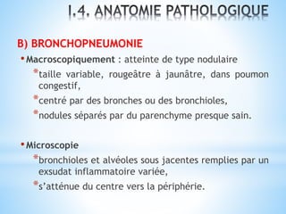 B) BRONCHOPNEUMONIE
•Macroscopiquement : atteinte de type nodulaire
*taille variable, rougeâtre à jaunâtre, dans poumon
congestif,
*centré par des bronches ou des bronchioles,
*nodules séparés par du parenchyme presque sain.
•Microscopie
*bronchioles et alvéoles sous jacentes remplies par un
exsudat inflammatoire variée,
*s’atténue du centre vers la périphérie.
 