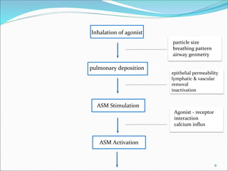 6
Inhalation of agonist
pulmonary deposition
ASM Stimulation
ASM Activation
particle size
breathing pattern
airway geometry
epithelial permeability
lymphatic & vascular
removal
inactivation
Agonist - receptor
interaction
calcium influx
 