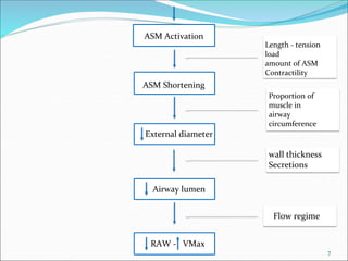 7
ASM Shortening
External diameter
Airway lumen
RAW - VMax
Proportion of
muscle in
airway
circumference
ASM Activation
Length - tension
load
amount of ASM
Contractility
wall thickness
Secretions
Flow regime
 