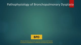 Bronchopulmonary dysplasia updates_and_prevention dr falakha | PPT