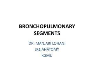 BRONCHOPULMONARY
SEGMENTS
DR. MANJARI LOHANI
JR1 ANATOMY
KGMU
 