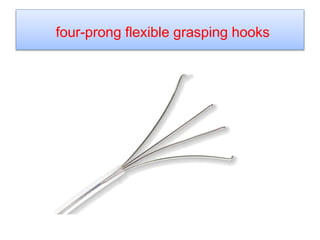 four-prong flexible grasping hooks
 