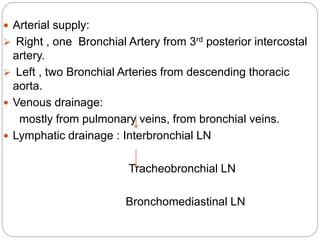  Arterial supply:
 Right , one Bronchial Artery from 3rd posterior intercostal
artery.
 Left , two Bronchial Arteries from descending thoracic
aorta.
 Venous drainage:
mostly from pulmonary veins, from bronchial veins.
 Lymphatic drainage : Interbronchial LN
Tracheobronchial LN
Bronchomediastinal LN
 