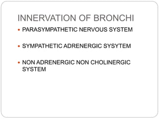INNERVATION OF BRONCHI
 PARASYMPATHETIC NERVOUS SYSTEM
 SYMPATHETIC ADRENERGIC SYSYTEM
 NON ADRENERGIC NON CHOLINERGIC
SYSTEM
 