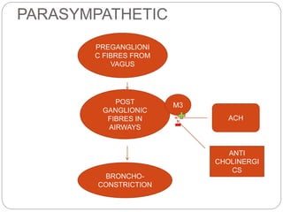 PARASYMPATHETIC
PREGANGLIONI
C FIBRES FROM
VAGUS
POST
GANGLIONIC
FIBRES IN
AIRWAYS
ACH
M3
BRONCHO-
CONSTRICTION
ANTI
CHOLINERGI
CS
 