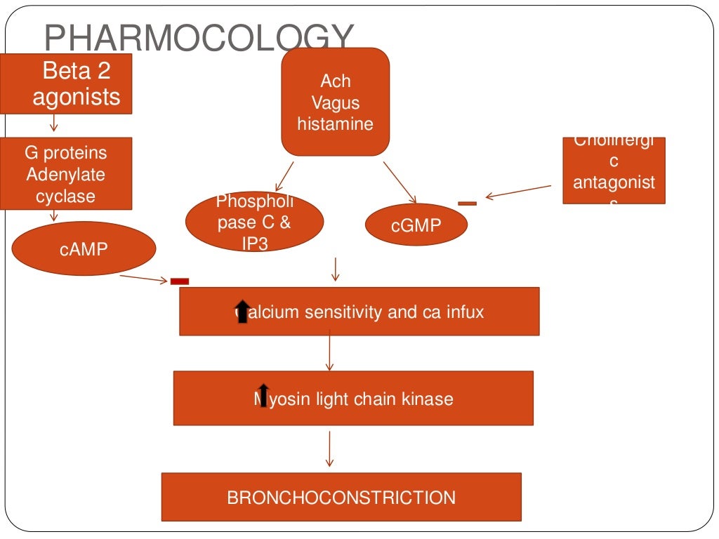 Bronchospasm ppt