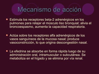 Mecanismo de acción Estimula los receptores beta-2 adrenérgicos en los pulmones para relajar el músculo liso bronquial; alivia el broncoespasmo, aumenta la capacidad respiratoria. Actúa sobre los receptores alfa adrenérgicos de los vasos sanguíneos de la mucosa nasal; produce vasoconstricción, lo que origina descongestión nasal.  La efedrina se absorbe en forma rápida luego de su administración oral, intramuscular o subcutánea. Se metaboliza en el hígado y se elimina por vía renal. 