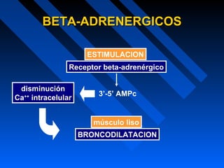 Receptor beta-adrenérgico
3’-5’ AMPc
músculo liso
ESTIMULACION
BRONCODILATACION
disminución
Ca++
intracelular
BETA-ADRENERGICOSBETA-ADRENERGICOS
 