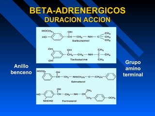 Anillo
benceno
Grupo
amino
terminal
BETA-ADRENERGICOSBETA-ADRENERGICOS
DURACION ACCIONDURACION ACCION
 