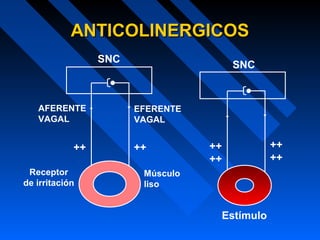 Receptor
de irritación
AFERENTE
VAGAL
EFERENTE
VAGAL
SNC
Músculo
liso
++ ++
Estímulo
++
++
++
++
SNC
ANTICOLINERGICOSANTICOLINERGICOS
 
