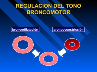 REGULACION DEL TONOREGULACION DEL TONO
BRONCOMOTORBRONCOMOTOR
broncodilatación broncoconstricción
 