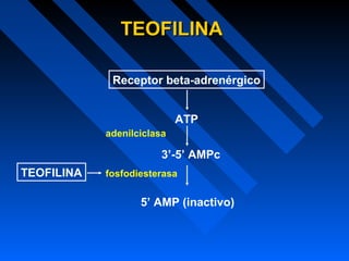 Receptor beta-adrenérgico
ATP
3’-5’ AMPc
5’ AMP (inactivo)
fosfodiesterasa
adenilciclasa
TEOFILINATEOFILINA
TEOFILINA
 