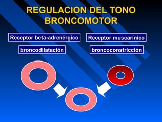 REGULACION DEL TONOREGULACION DEL TONO
BRONCOMOTORBRONCOMOTOR
broncodilatación broncoconstricción
Receptor beta-adrenérgico Receptor muscarínico
 