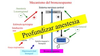 Intubación
Anestesia General
Sistema nervioso central
Musculo Liso
Bronquial
Anestesia
Locorregional
Estímulo quirúrgico
Gases respiratorios
Estiramiento
Irritación Epitelio traqueal o
bronquial
Hiperreactividad
bronquial
Broncoespasmo
Nervio Vago
Ganglio
Parasimpático
bronquial
Mecanismo del broncoespasmo
 