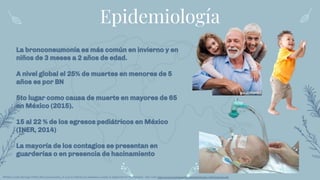 Epidemiología
La bronconeumonía es más común en invierno y en
niños de 3 meses a 2 años de edad.
A nivel global el 25% de muertes en menores de 5
años es por BN
5to lugar como causa de muerte en mayores de 65
en México (2015).
15 al 22 % de los egresos pediátricos en México
(INER, 2014)
La mayoría de los contagios se presentan en
guarderías o en presencia de hacinamiento
RPablo Cortés Borrego (2001) Bronconeumonía: ¿A qué se reﬁeren los pediatras cuando la diagnostican? Medigraphic. Sitio web: https://www.medigraphic.com/pdfs/iner/in-2001/in013a.pdf
 
