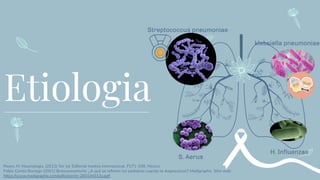 Etiologia
Streptococcus pneumoniae
S. Aerus
H. Inﬂuenzae
klebsiella pneumoniae
Reyes, M. Neumologia. (2012) 3er ed. Editorial medica internacional. P271-298, Mexico
Pablo Cortés Borrego (2001) Bronconeumonía: ¿A qué se reﬁeren los pediatras cuando la diagnostican? Medigraphic. Sitio web:
https://www.medigraphic.com/pdfs/iner/in-2001/in013a.pdf
 